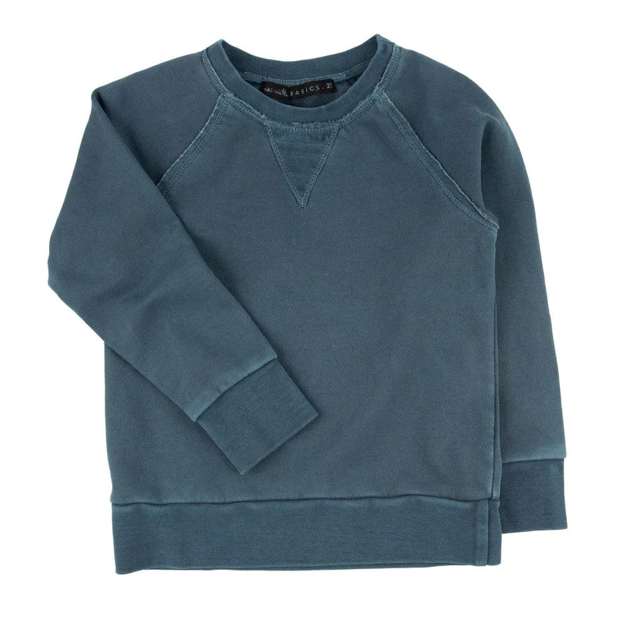 Iggy Navy Sweatshirt