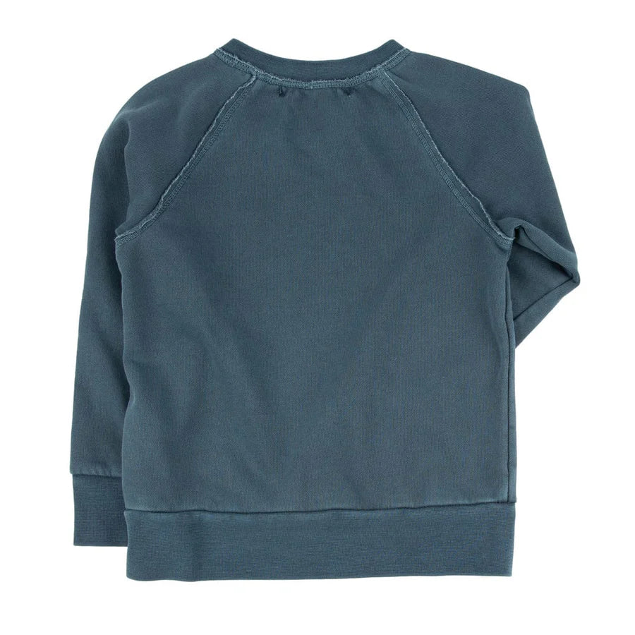 Iggy Navy Sweatshirt