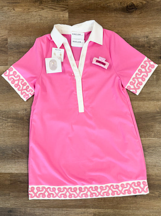 Pink Collared Dress with Embroidery Detail
