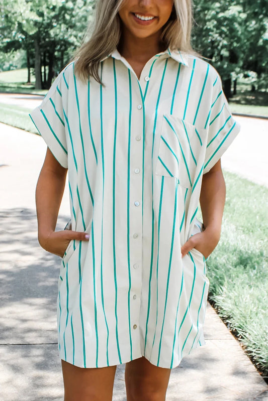 Mint Green Striped Pocket Button Down Dress