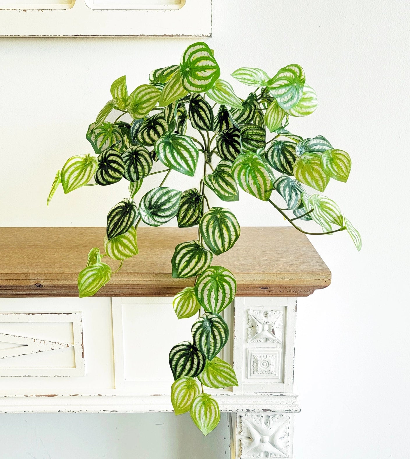 Watermelon Leaf Hanging Bush 19"