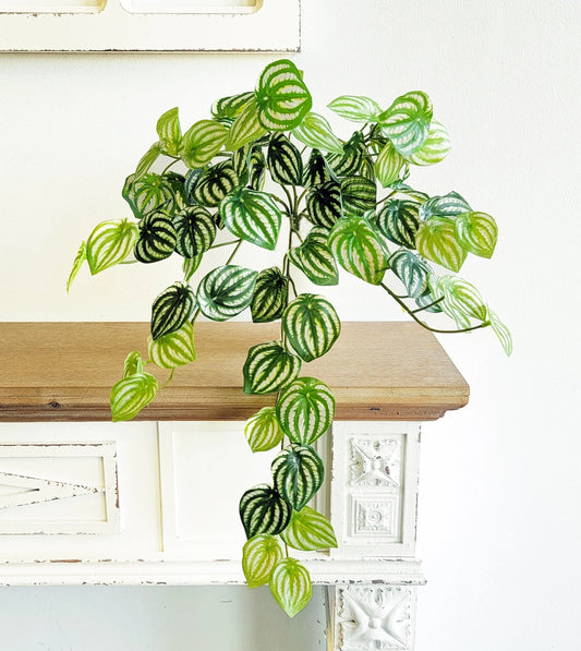 Watermelon Leaf Hanging Bush 19"