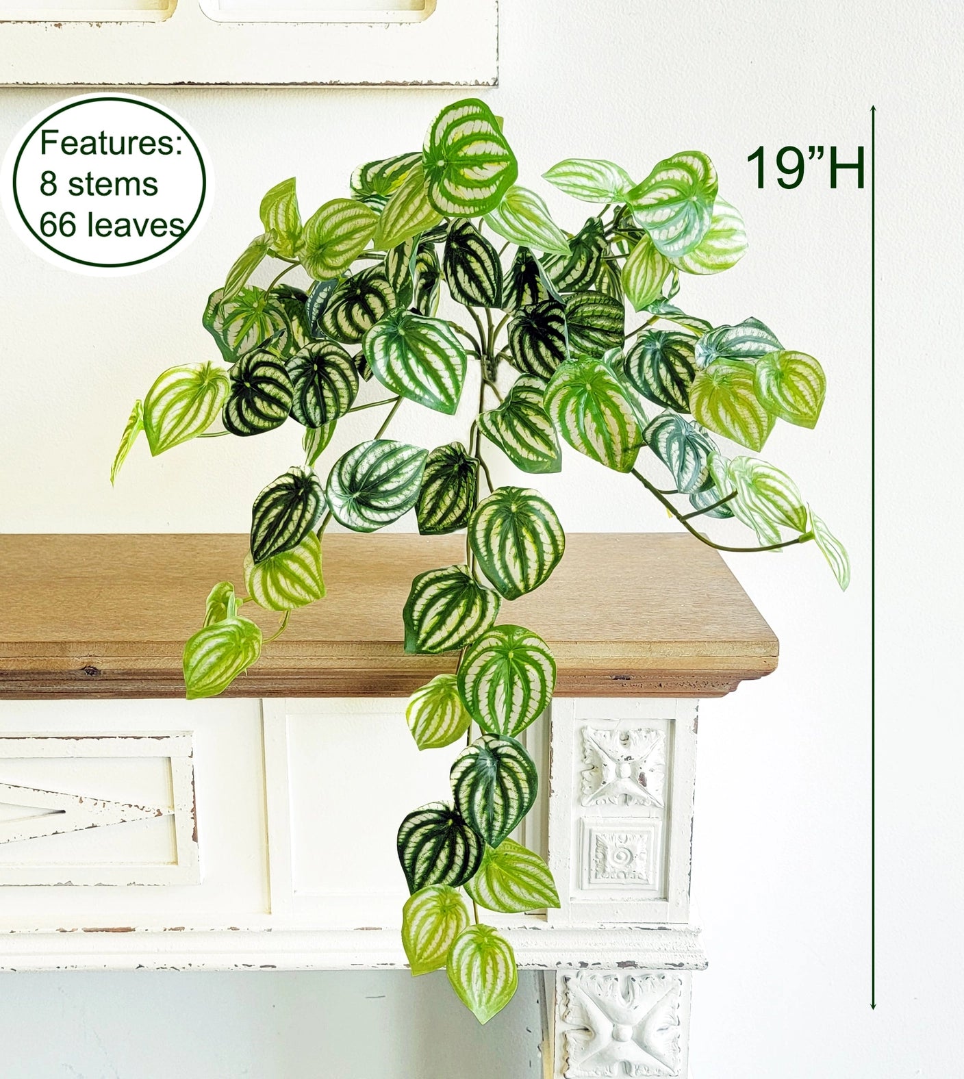 Watermelon Leaf Hanging Bush 19"